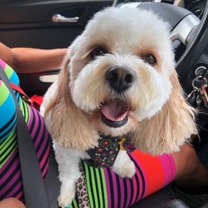 Meet your Posher, Savannah